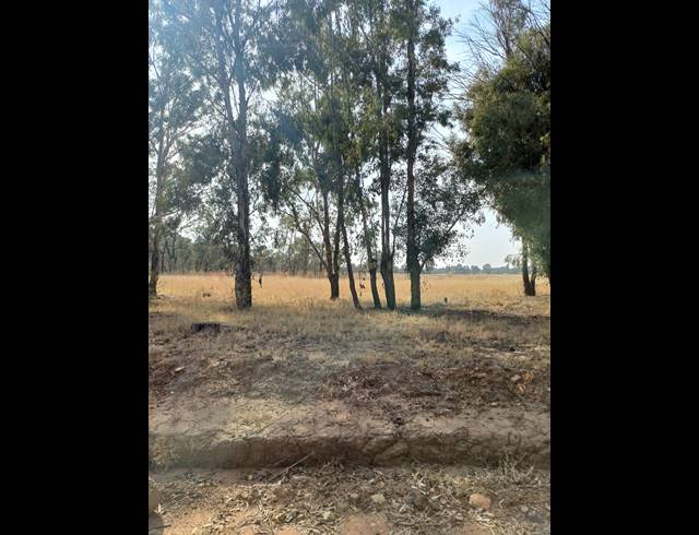 16HA VACANT LAND FOR SALE IN WALKER FRUIT FARMS